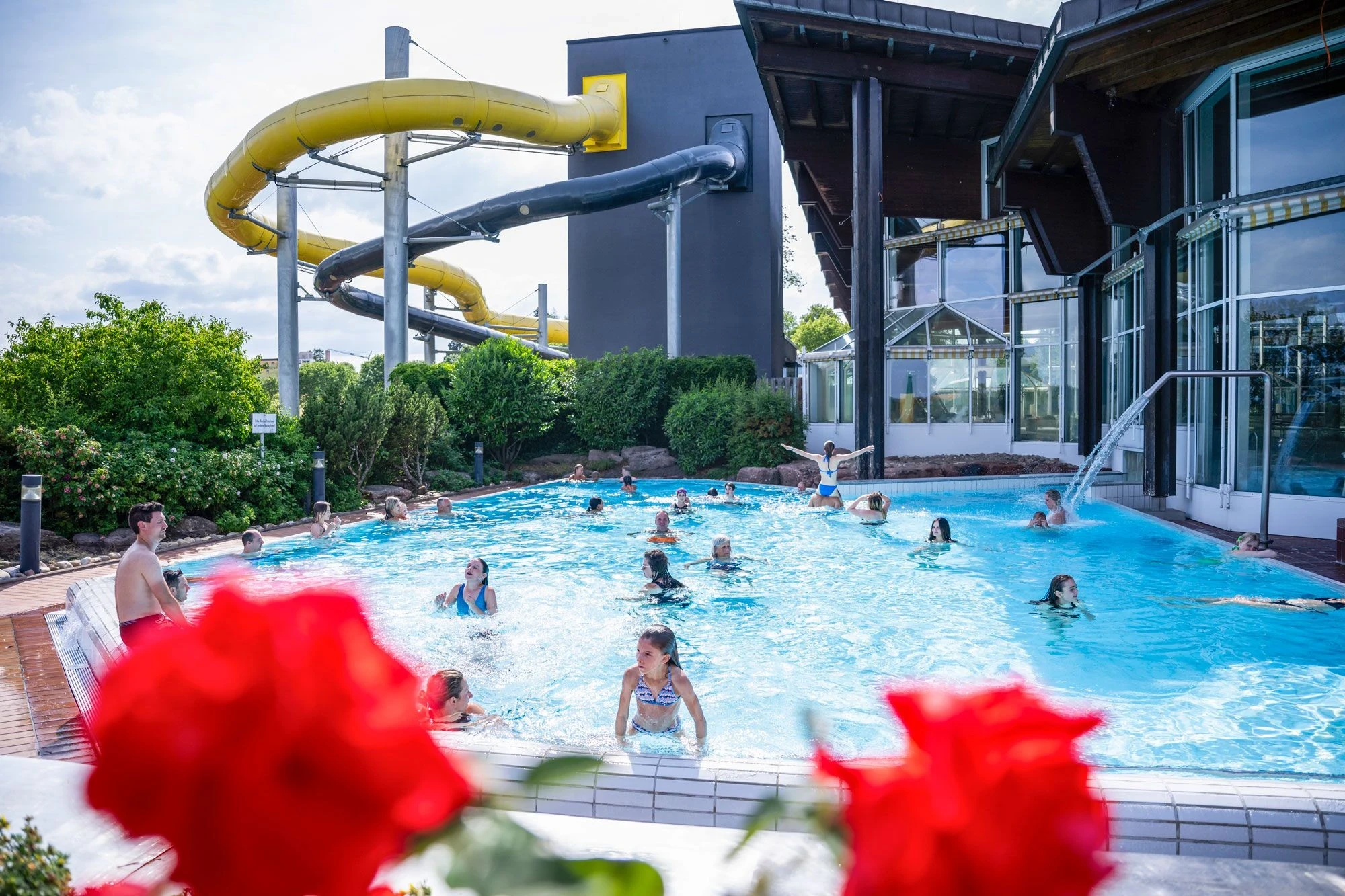 Viele Badegäste im Aussenbecken umgeben von blühende Rosen im Hintergrund der Rutschturm